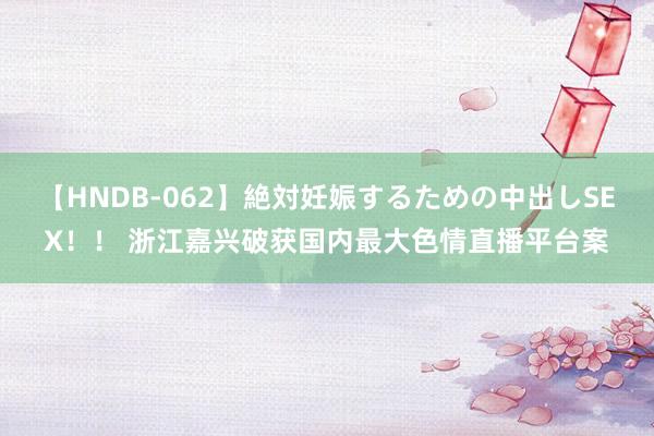 【HNDB-062】絶対妊娠するための中出しSEX！！ 浙江嘉兴破获国内最大色情直播平台案