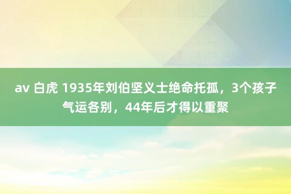 av 白虎 1935年刘伯坚义士绝命托孤，3个孩子气运各别，44年后才得以重聚