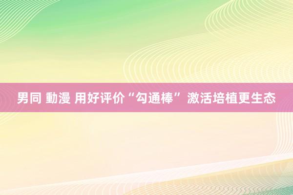 男同 動漫 用好评价“勾通棒” 激活培植更生态