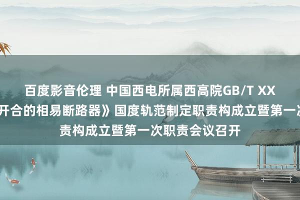 百度影音伦理 中国西电所属西高院GB/T XXXX《用于可控开合的相易断路器》国度轨范制定职责构成立暨第一次职责会议召开