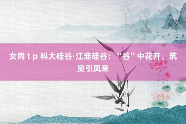 女同 t p 科大硅谷·江淮硅谷：“谷”中花开，筑巢引凤来