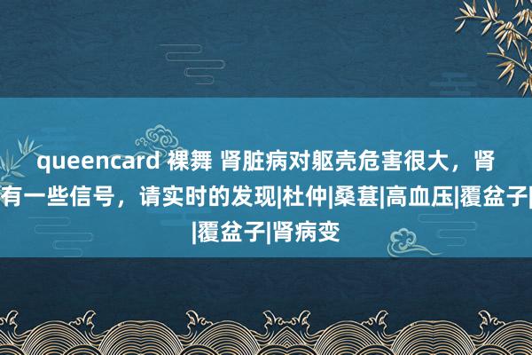 queencard 裸舞 肾脏病对躯壳危害很大，肾脏病会有一些信号，请实时的发现|杜仲|桑葚|高血压|覆盆子|肾病变