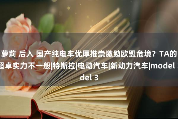 萝莉 后入 国产纯电车优厚推崇激勉欧盟危境？TA的超卓实力不一般|特斯拉|电动汽车|新动力汽车|model 3