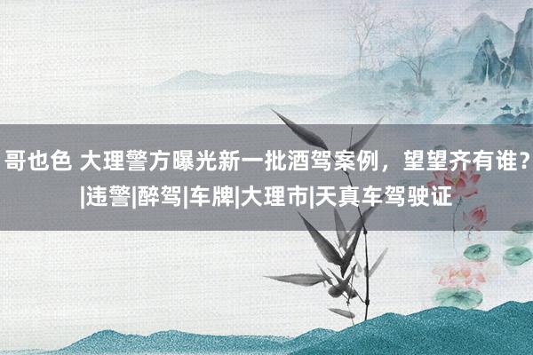 哥也色 大理警方曝光新一批酒驾案例，望望齐有谁？|违警|醉驾|车牌|大理市|天真车驾驶证