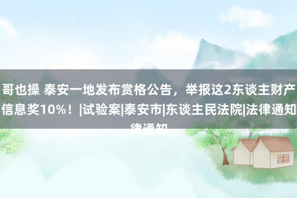 哥也操 泰安一地发布赏格公告，举报这2东谈主财产信息奖10%！|试验案|泰安市|东谈主民法院|法律通知