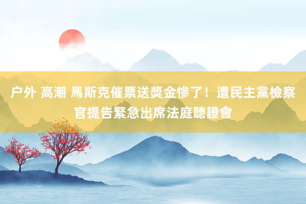 户外 高潮 馬斯克催票送獎金慘了！遭民主黨檢察官提告　緊急出席法庭聽證會