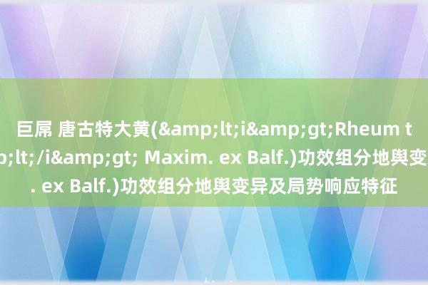 巨屌 唐古特大黄(&lt;i&gt;Rheum tanguticum&lt;/i&gt; Maxim. ex Balf.)功效组分地舆变异及局势响应特征