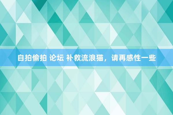 自拍偷拍 论坛 补救流浪猫，请再感性一些