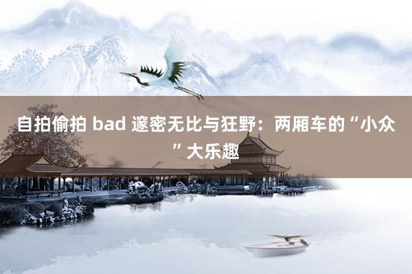 自拍偷拍 bad 邃密无比与狂野：两厢车的“小众”大乐趣